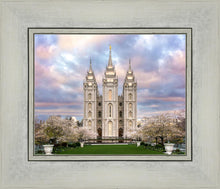 Load image into Gallery viewer, Salt Lake a Glimpse of Heaven