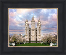 Load image into Gallery viewer, Salt Lake a Glimpse of Heaven
