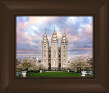 Load image into Gallery viewer, Salt Lake a Glimpse of Heaven