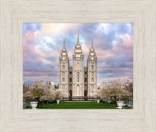 Load image into Gallery viewer, Salt Lake a Glimpse of Heaven