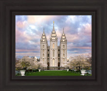 Load image into Gallery viewer, Salt Lake a Glimpse of Heaven