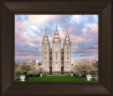 Load image into Gallery viewer, Salt Lake a Glimpse of Heaven