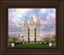 Load image into Gallery viewer, Salt Lake a Glimpse of Heaven