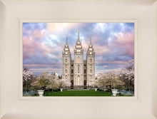 Load image into Gallery viewer, Salt Lake a Glimpse of Heaven