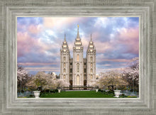 Load image into Gallery viewer, Salt Lake a Glimpse of Heaven