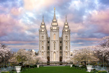 Load image into Gallery viewer, Salt Lake a Glimpse of Heaven
