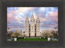 Load image into Gallery viewer, Salt Lake a Glimpse of Heaven