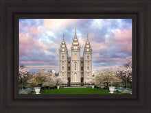 Load image into Gallery viewer, Salt Lake a Glimpse of Heaven
