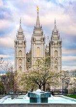 Load image into Gallery viewer, Salt Lake Temple Spring Fountain
