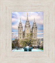 Load image into Gallery viewer, Salt Lake Temple Spring Fountain