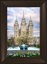 Load image into Gallery viewer, Salt Lake Temple Spring Fountain