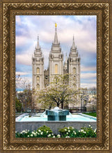 Load image into Gallery viewer, Salt Lake Temple Spring Fountain