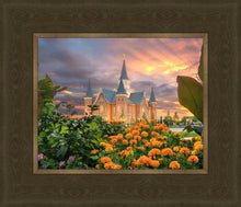 Load image into Gallery viewer, Provo City Center Temple Orange Flowers