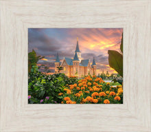 Load image into Gallery viewer, Provo City Center Temple Orange Flowers