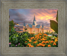 Load image into Gallery viewer, Provo City Center Temple Orange Flowers