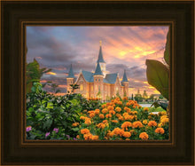 Load image into Gallery viewer, Provo City Center Temple Orange Flowers