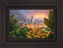 Load image into Gallery viewer, Provo City Center Temple Orange Flowers