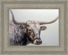 Load image into Gallery viewer, Longhorn