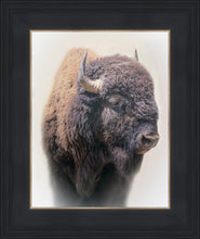 Load image into Gallery viewer, Bison