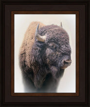 Load image into Gallery viewer, Bison