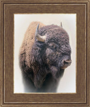 Load image into Gallery viewer, Bison