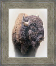 Load image into Gallery viewer, Bison