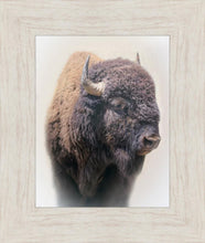 Load image into Gallery viewer, Bison