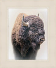 Load image into Gallery viewer, Bison