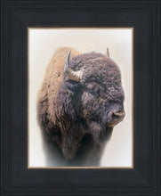 Load image into Gallery viewer, Bison