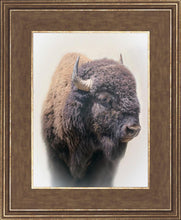 Load image into Gallery viewer, Bison
