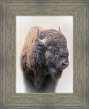 Load image into Gallery viewer, Bison