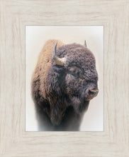 Load image into Gallery viewer, Bison