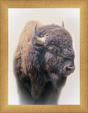 Load image into Gallery viewer, Bison