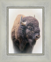Load image into Gallery viewer, Bison
