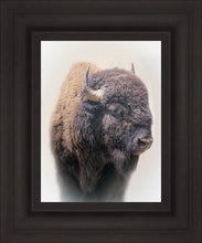 Load image into Gallery viewer, Bison