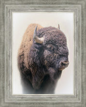 Load image into Gallery viewer, Bison