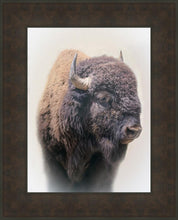 Load image into Gallery viewer, Bison