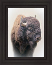 Load image into Gallery viewer, Bison