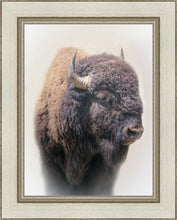 Load image into Gallery viewer, Bison