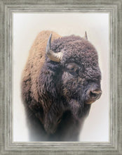 Load image into Gallery viewer, Bison