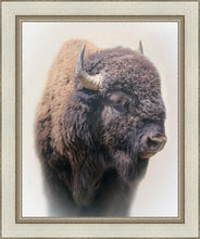 Load image into Gallery viewer, Bison