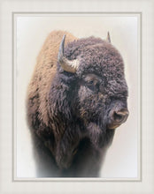 Load image into Gallery viewer, Bison
