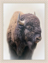 Load image into Gallery viewer, Bison Large Wall Art