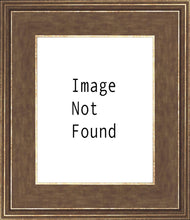 Load image into Gallery viewer, St. George Temple (As long as you can see the temple)