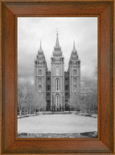 Load image into Gallery viewer, Salt Lake Temple