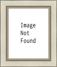Load image into Gallery viewer, Salt Lake Temple
