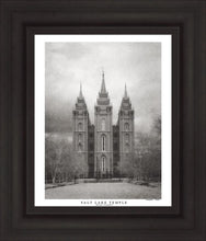 Load image into Gallery viewer, Salt Lake Temple