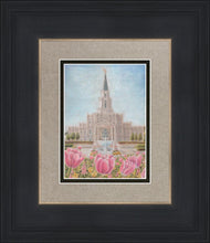Load image into Gallery viewer, Houston Temple Sacred Haven