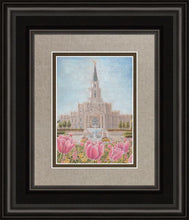 Load image into Gallery viewer, Houston Temple Sacred Haven