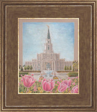 Load image into Gallery viewer, Houston Temple Sacred Haven